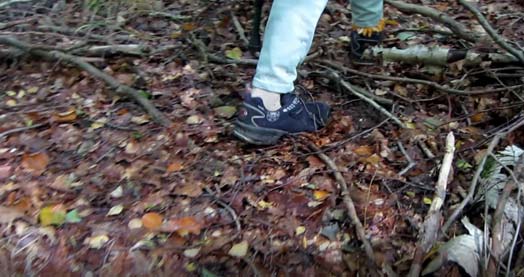 Waldbau - CHR begeht das Gelände. Filmische Sequenzen von Serjoscha Karii mit CHR